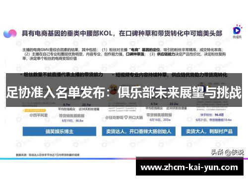 足协准入名单发布：俱乐部未来展望与挑战