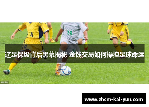 辽足保级背后黑幕揭秘 金钱交易如何操控足球命运